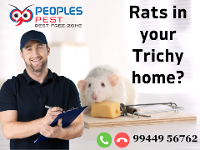 Rodent Pest Control Service in Trichy